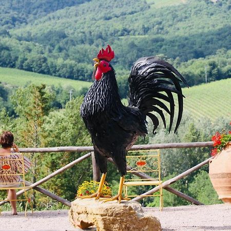 Agriturismo Borgo Il Bonagino 라다인키안티 외부 사진