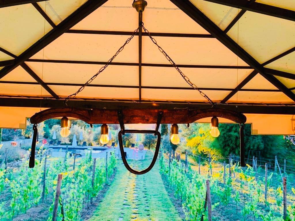 Agriturismo Borgo Il Bonagino 라다인키안티 외부 사진