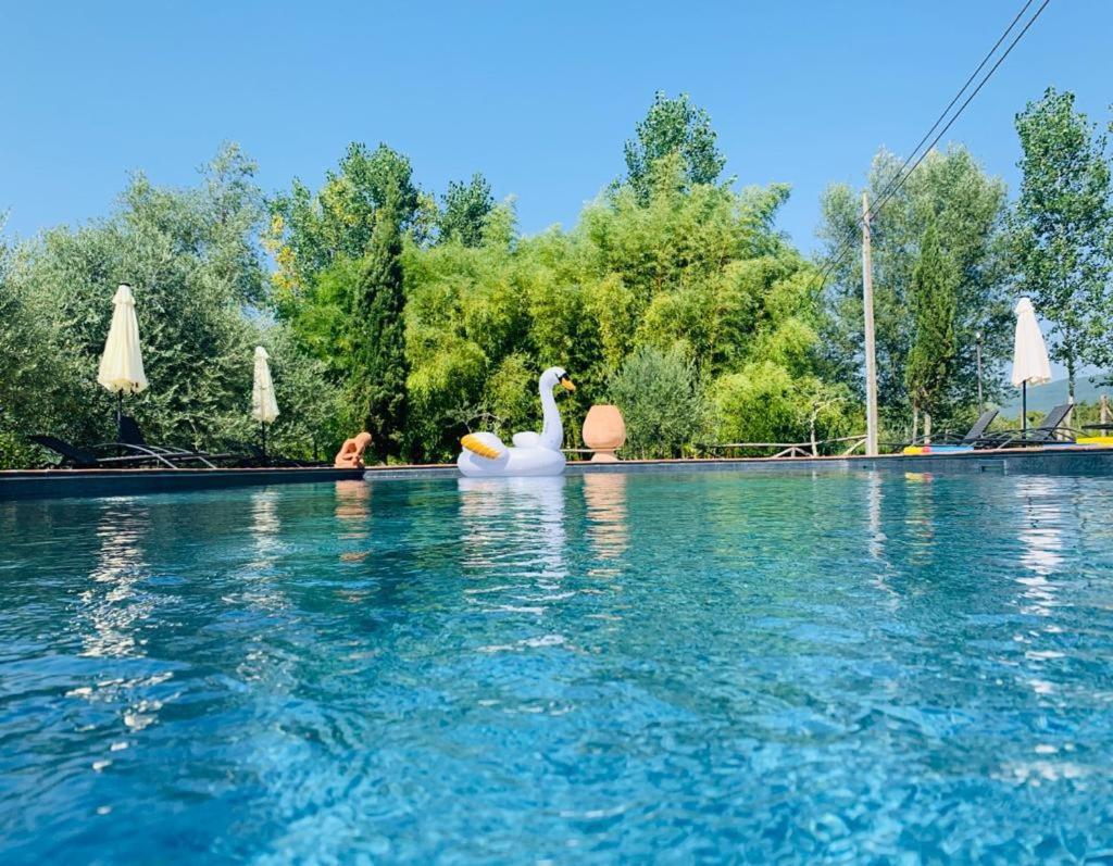 Agriturismo Borgo Il Bonagino 라다인키안티 외부 사진