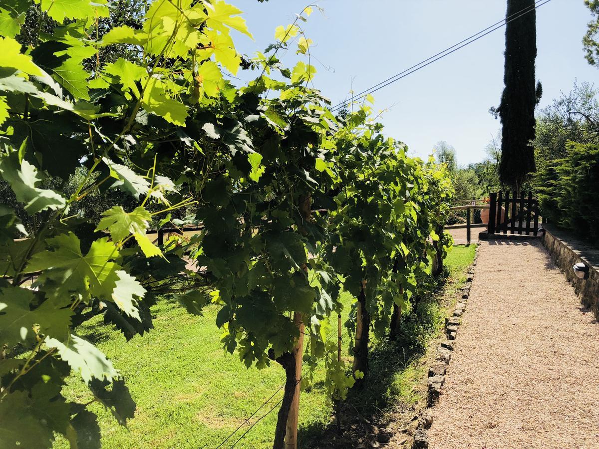 Agriturismo Borgo Il Bonagino 라다인키안티 외부 사진